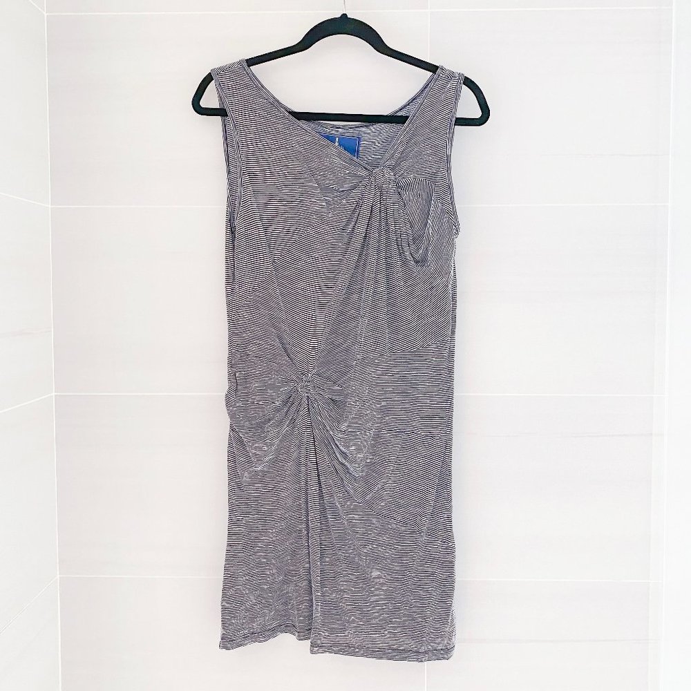 Anthropologie Iris & Navy Striped Dress